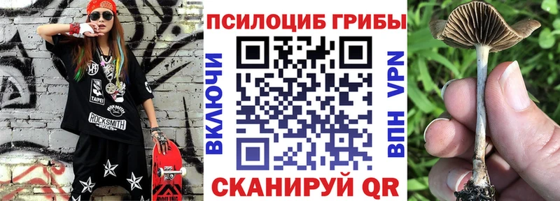 Галлюциногенные грибы мицелий Уссурийск