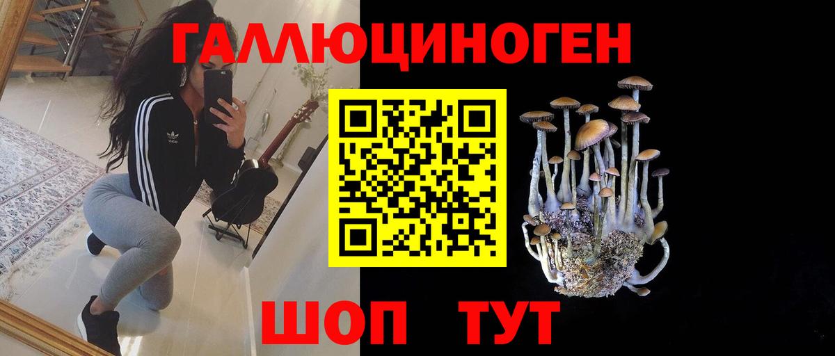 Уссурийск  Галлюциногенные грибы Cubensis  Вход с VPN  Галлюциногенные грибы MAGIC MUSHROOMS 